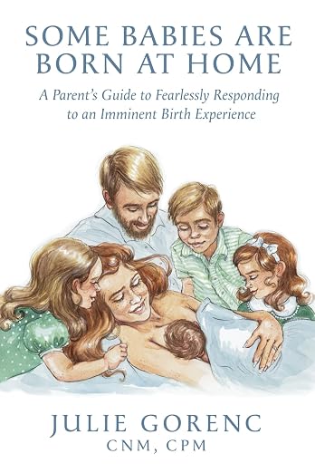 Some Babies Are Born at Home by Julie Gorenc